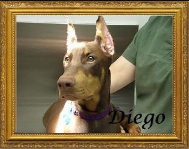 Diego